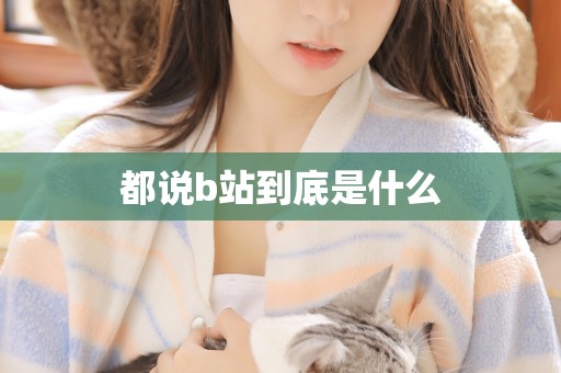 都说b站到底是什么