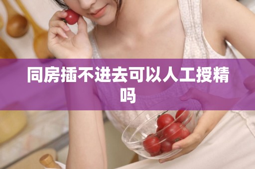 同房插不进去可以人工授精吗